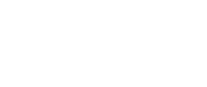 José Braulio Paletes Logo